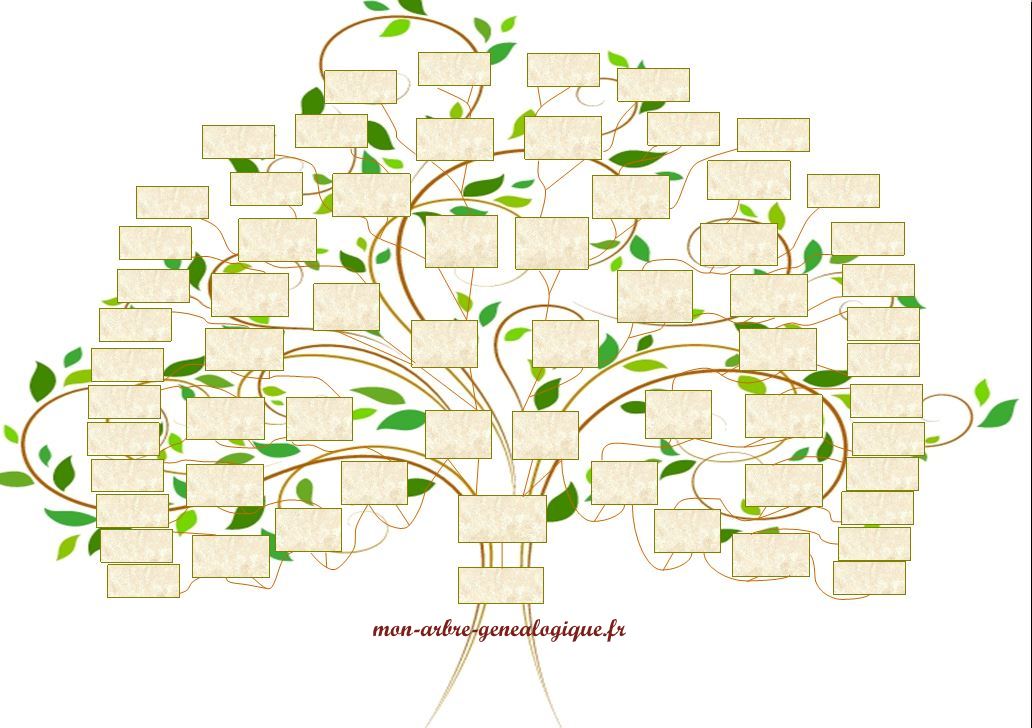 Modele Arbre Genealogique Descendant Vierge Gratuit Arbre Genealogique Descendant A Remplir Sur Ordinateur - Communauté MCMS™.